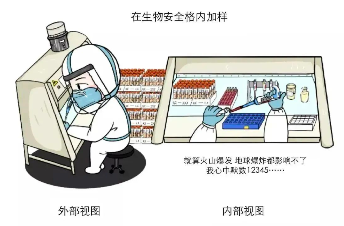 提取核酸